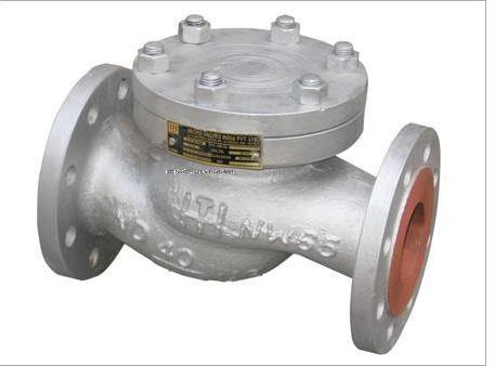 lift check valve.JPG